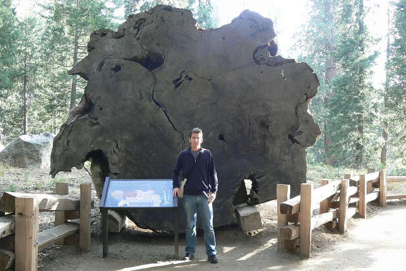 37 Sequoia National Park